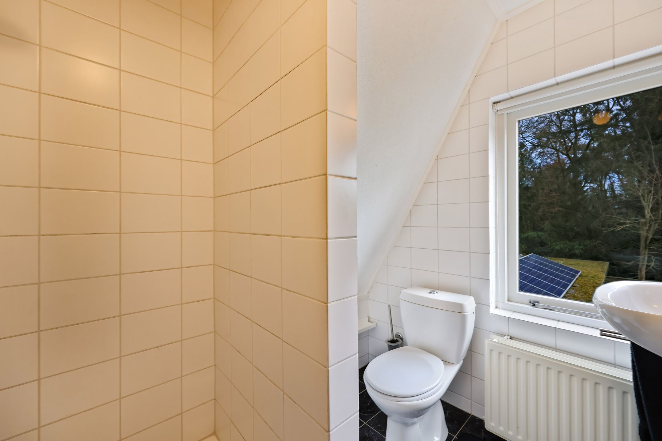 Foto 42 van Paulus Potterlaan 22