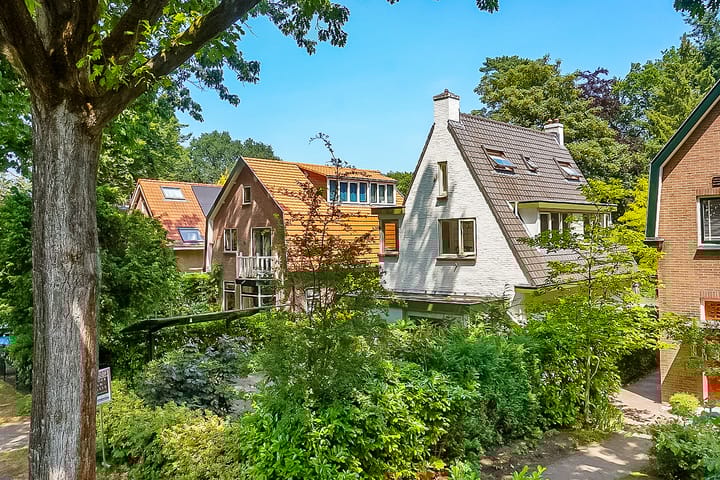 Foto 54 van Paulus Potterlaan 22