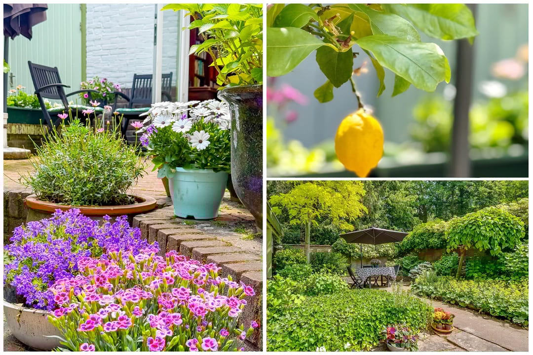 Foto 58 van Paulus Potterlaan 22