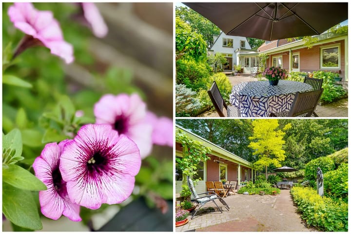 Foto 60 van Paulus Potterlaan 22