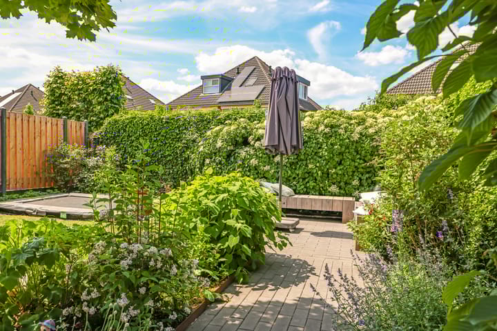 Foto 60 van De Peppelpas 9