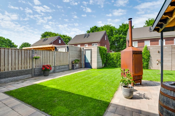 Foto 28 van Tarwe 11