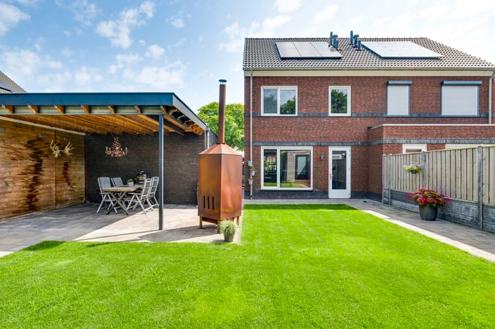 Foto 31 van Tarwe 11