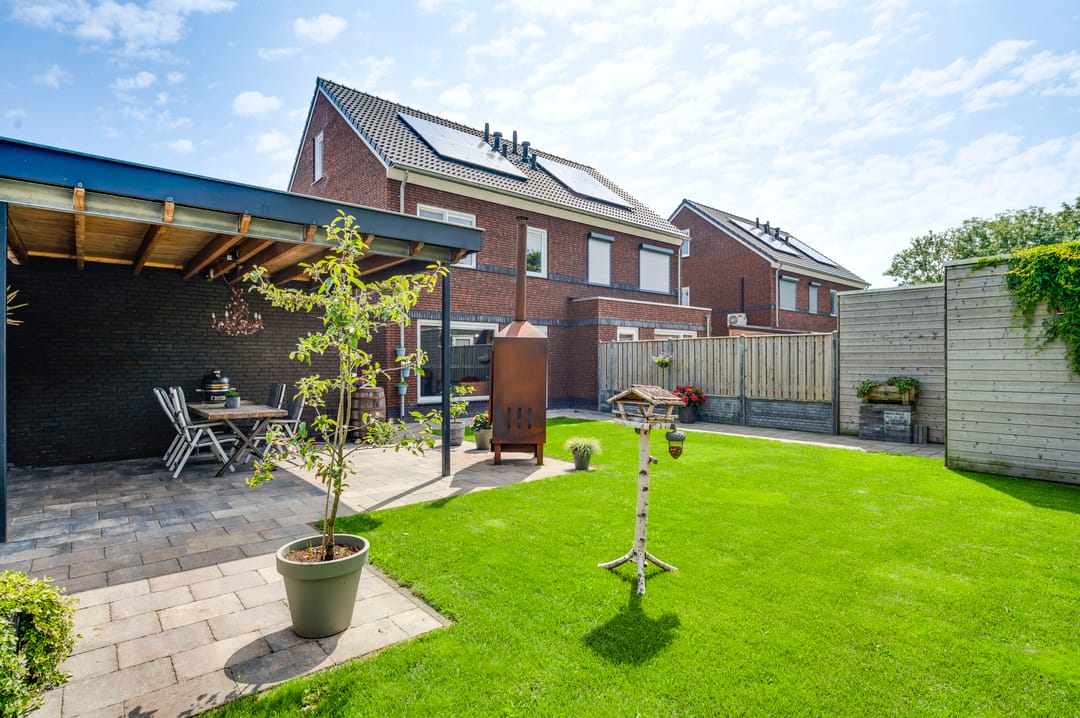 Foto 32 van Tarwe 11