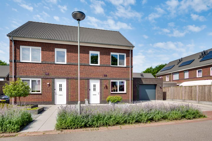 Foto 33 van Tarwe 11