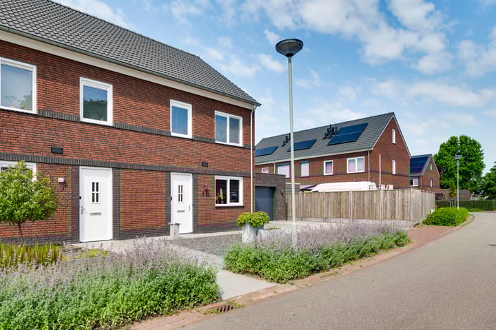 Foto 34 van Tarwe 11