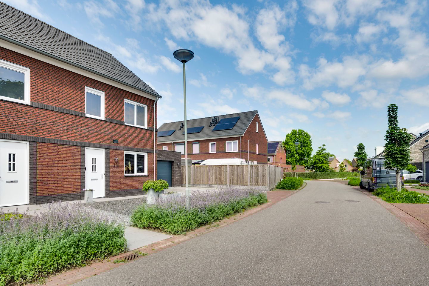 Foto 35 van Tarwe 11