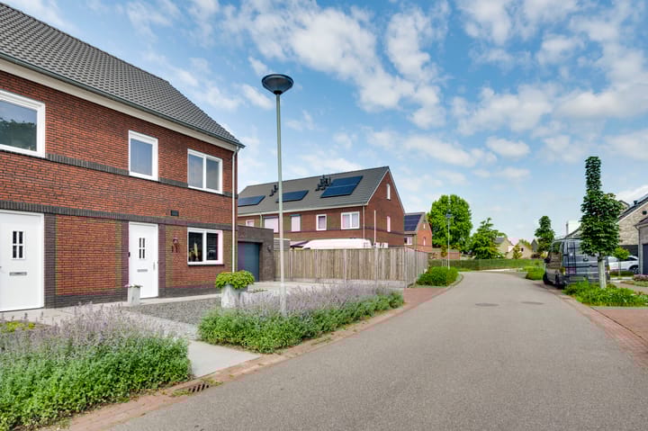 Foto 35 van Tarwe 11