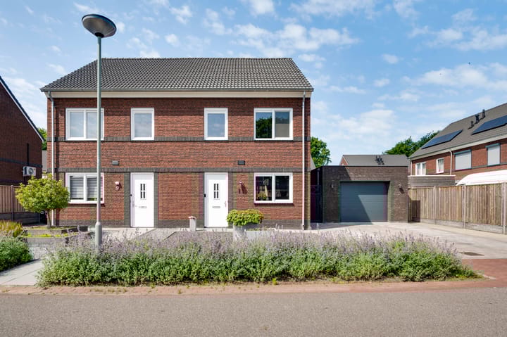 Foto 36 van Tarwe 11