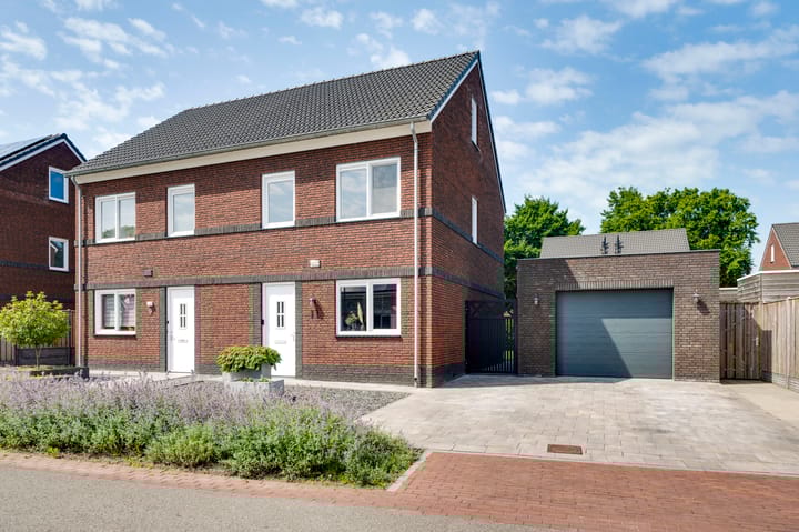 Foto 37 van Tarwe 11