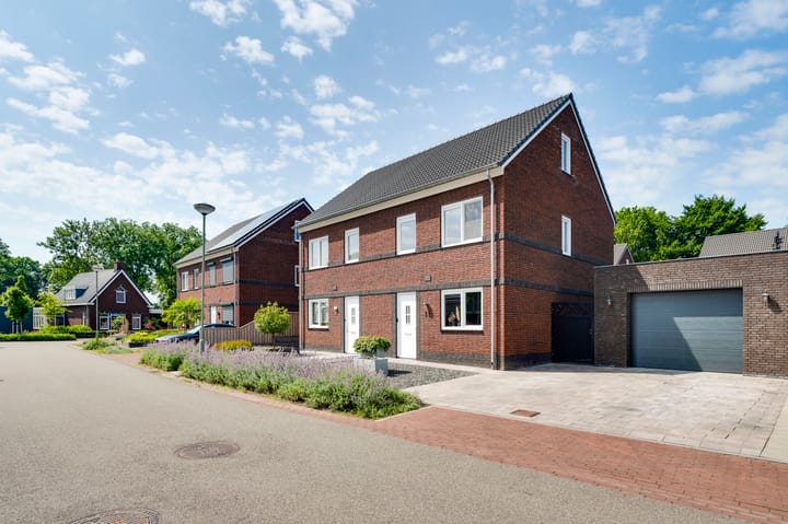 Foto 39 van Tarwe 11