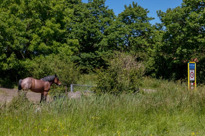 Foto 39 van Schotsehoek 5