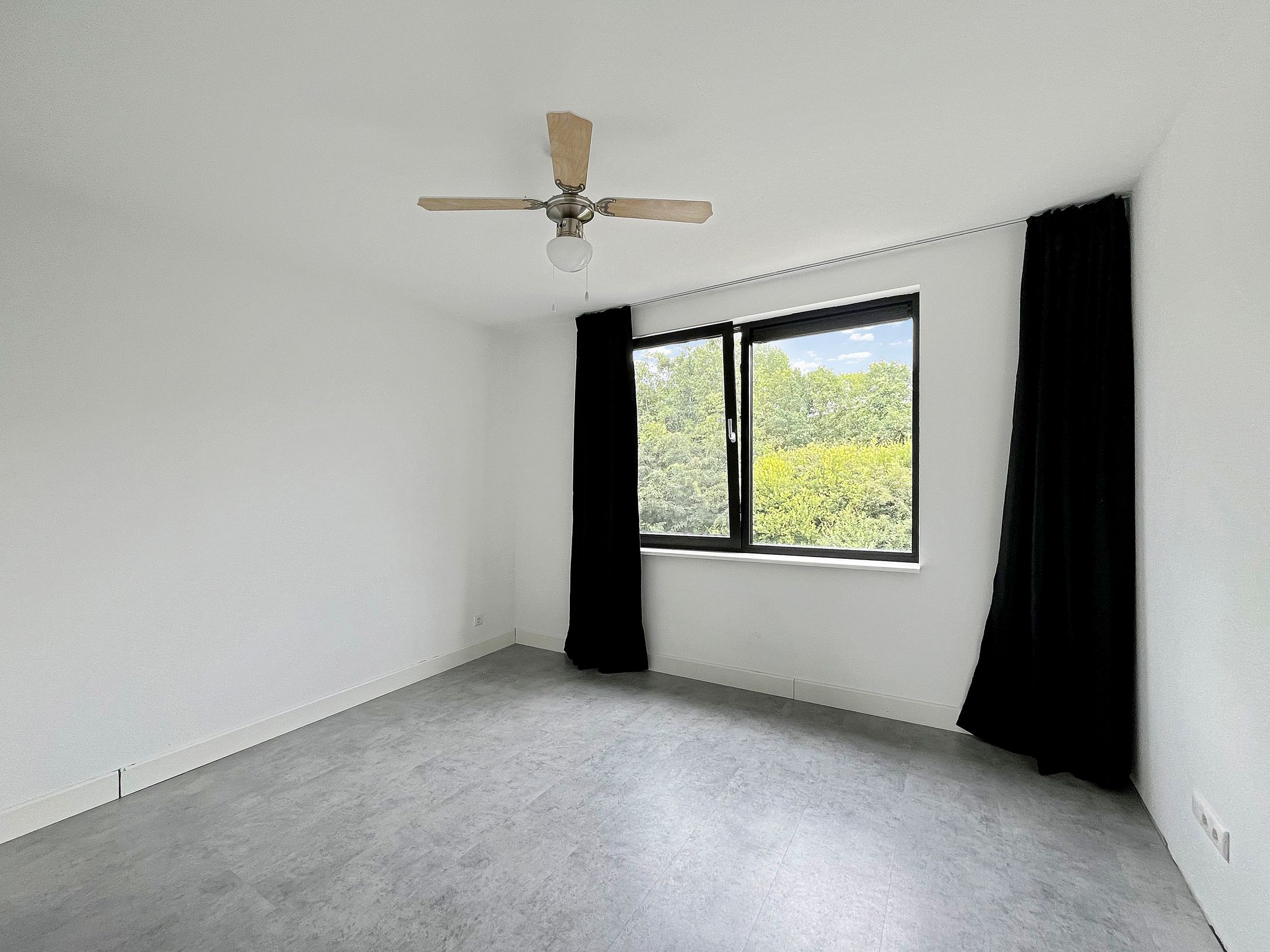 Photo 12 of Vlasveen 6