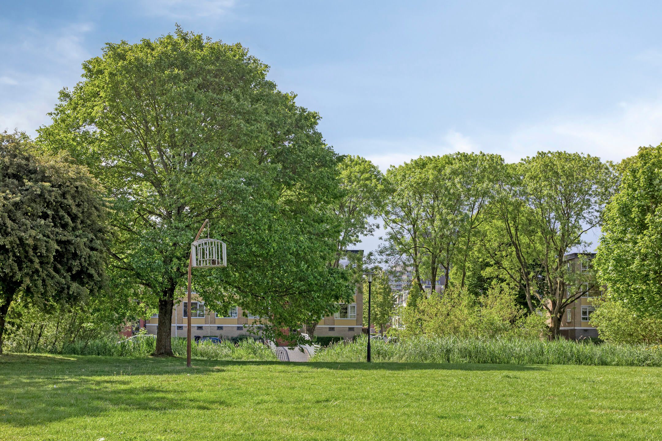 Foto 36 van Briljantstraat 119