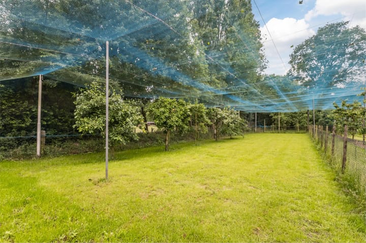 Foto 40 van Rechtestraat 6