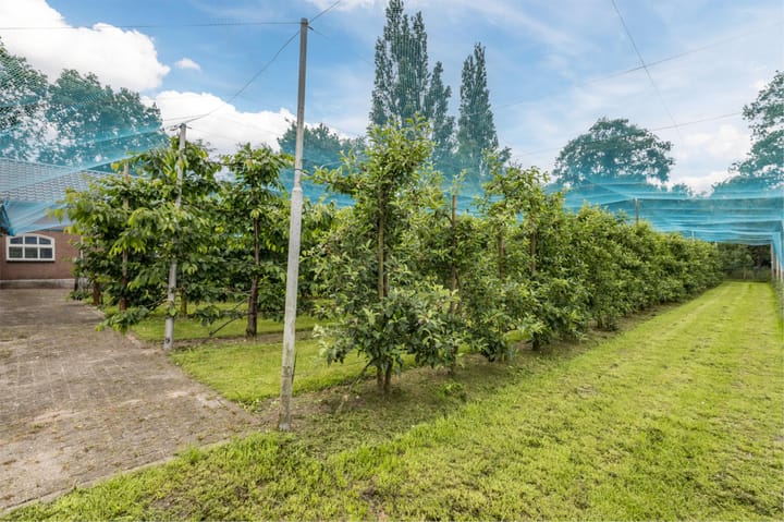 Foto 42 van Rechtestraat 6