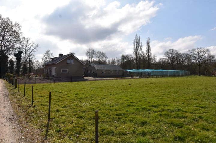 Foto 44 van Rechtestraat 6