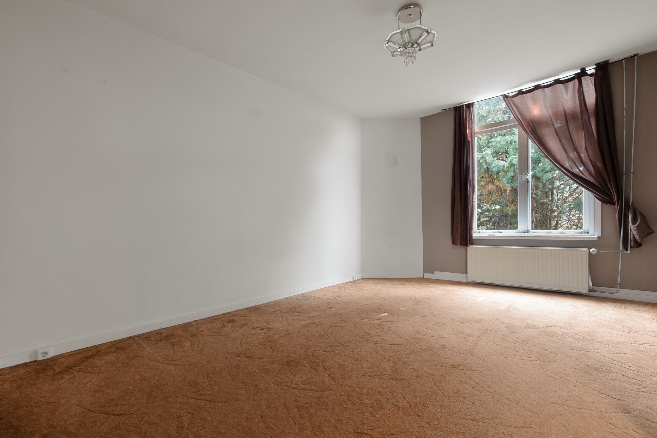 Foto 33 van Rijswijkseweg 409