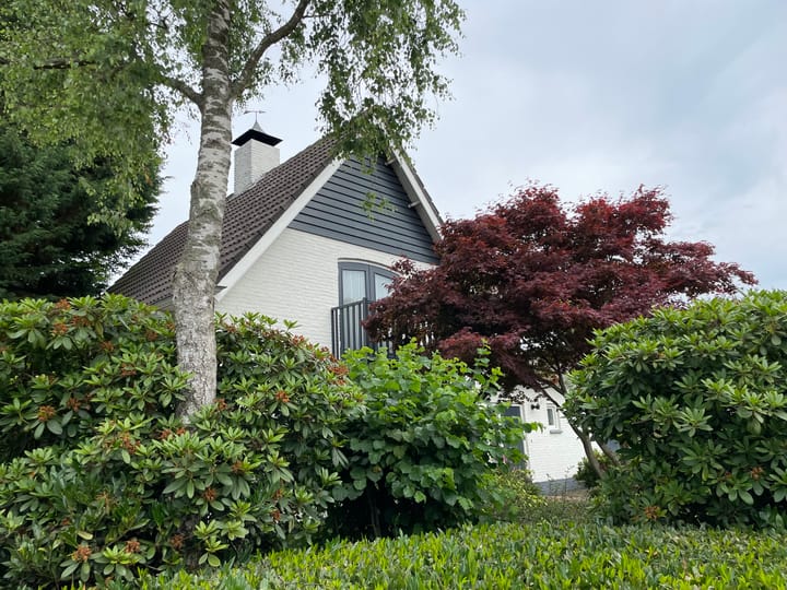 Foto 43 van Oranjestraat 55