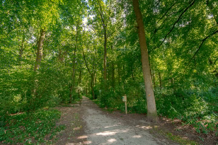 Foto 55 van Hoefslagmate 47