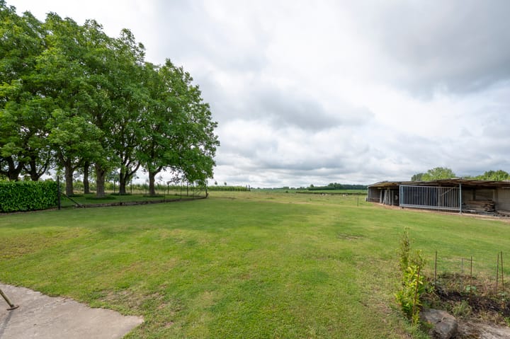 Foto 65 van Scheuldersteeg 6