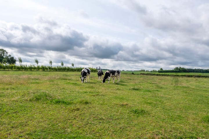 Foto 68 van Scheuldersteeg 6