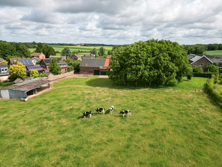 Foto 70 van Scheuldersteeg 6