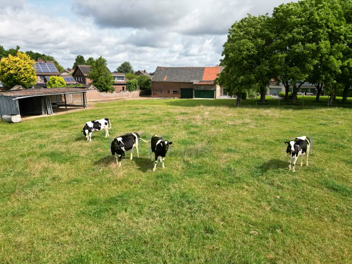 Foto 72 van Scheuldersteeg 6