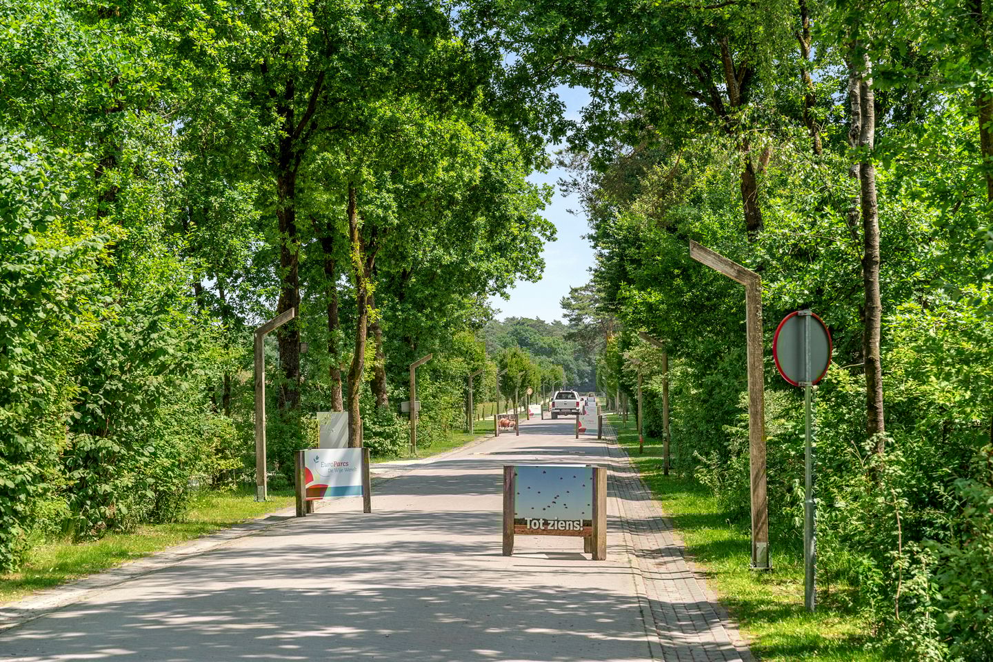 Photo 20 of Arnhemseweg 100-R514