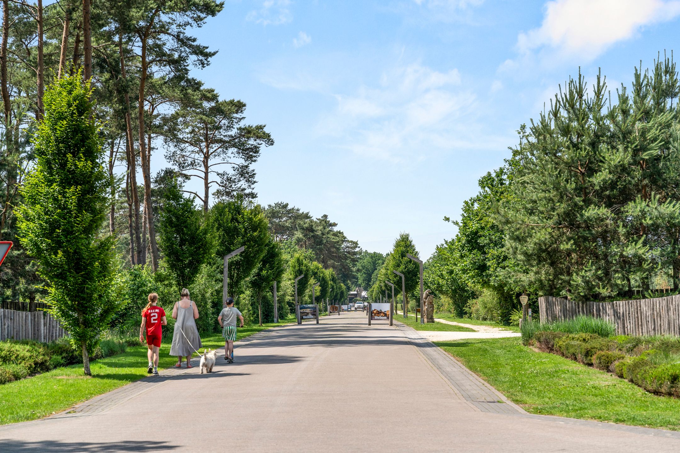 Photo 21 of Arnhemseweg 100-R514