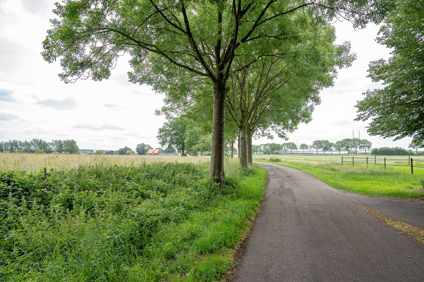 Foto 65 van Warmseweg 2