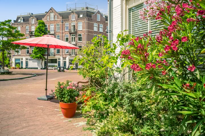 Foto 37 van Staringplein 7