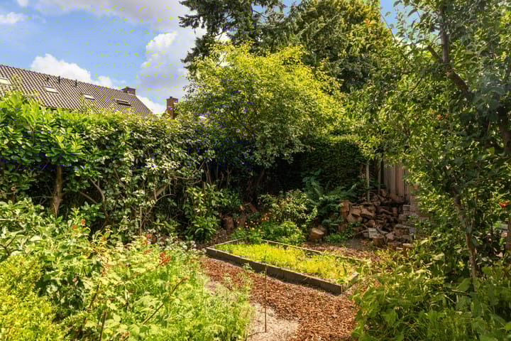 Foto 20 van Ossendamweg 20