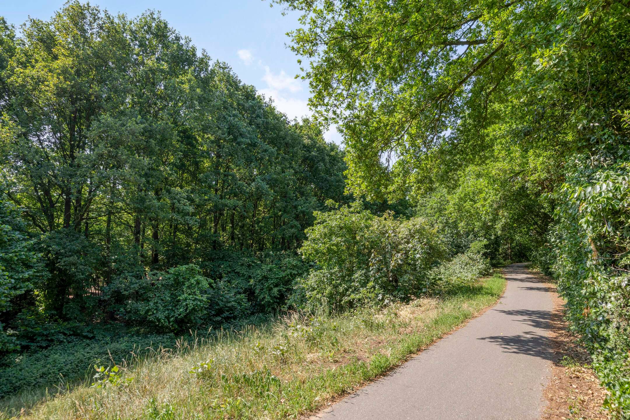 Photo 36 of Iepenstraat 5