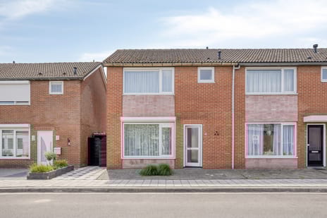 undefined main image