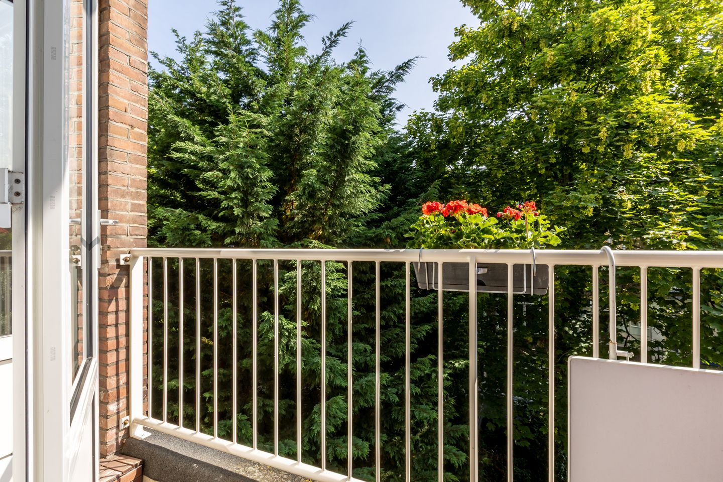 Foto 25 van Schieweg 111-C02