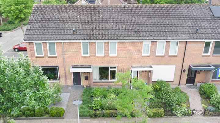 Foto 5 van Tureluur 74