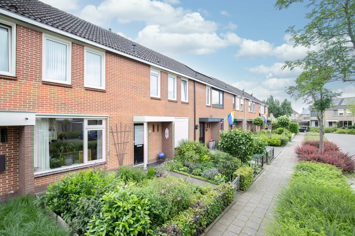 Photo 6 of Tureluur 74