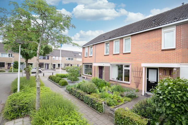 Photo 8 of Tureluur 74