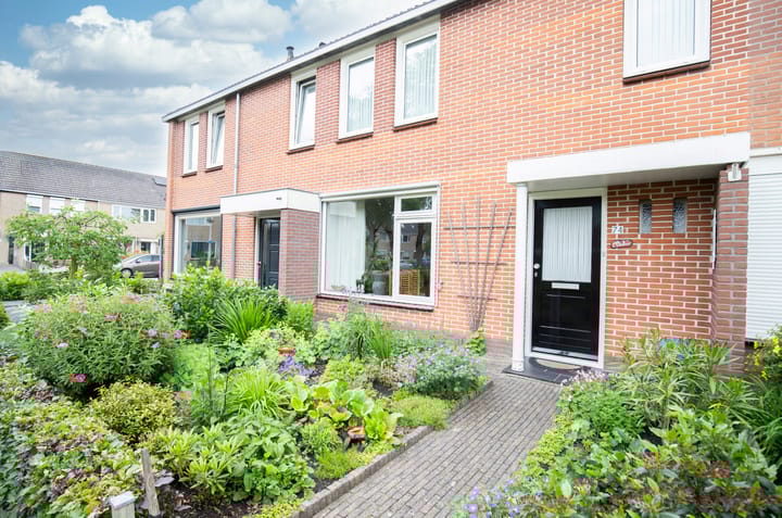 Photo 11 of Tureluur 74