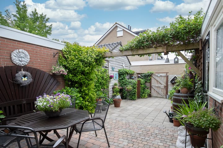 Photo 21 of Tureluur 74