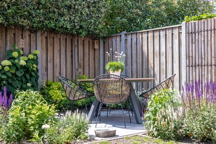 Foto 40 van Atalanta 9