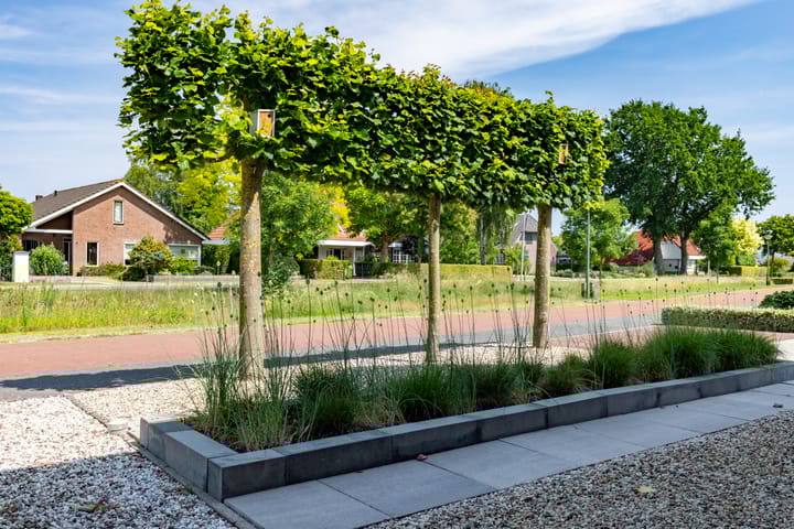 Foto 42 van Atalanta 9