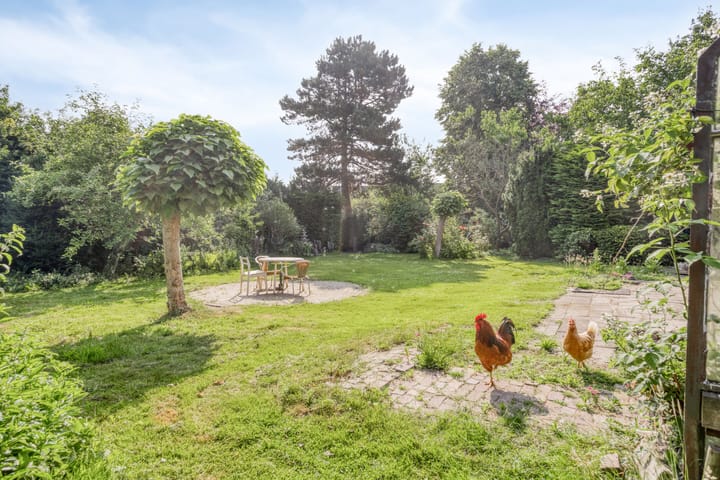 Foto 47 van Voederheil 24