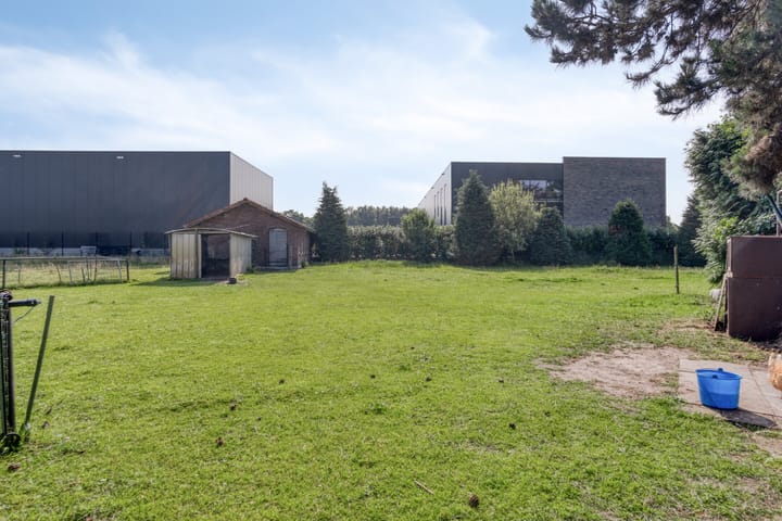 Foto 53 van Voederheil 24