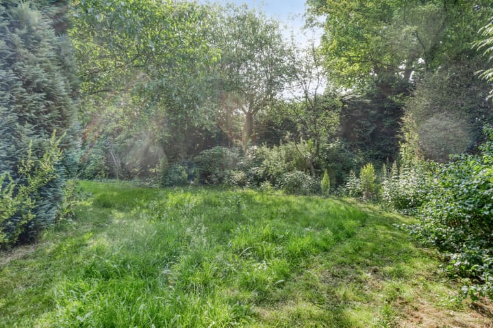 Foto 60 van Voederheil 24