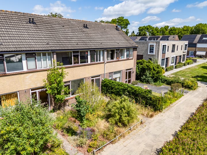 Foto 2 van Wollegras 7