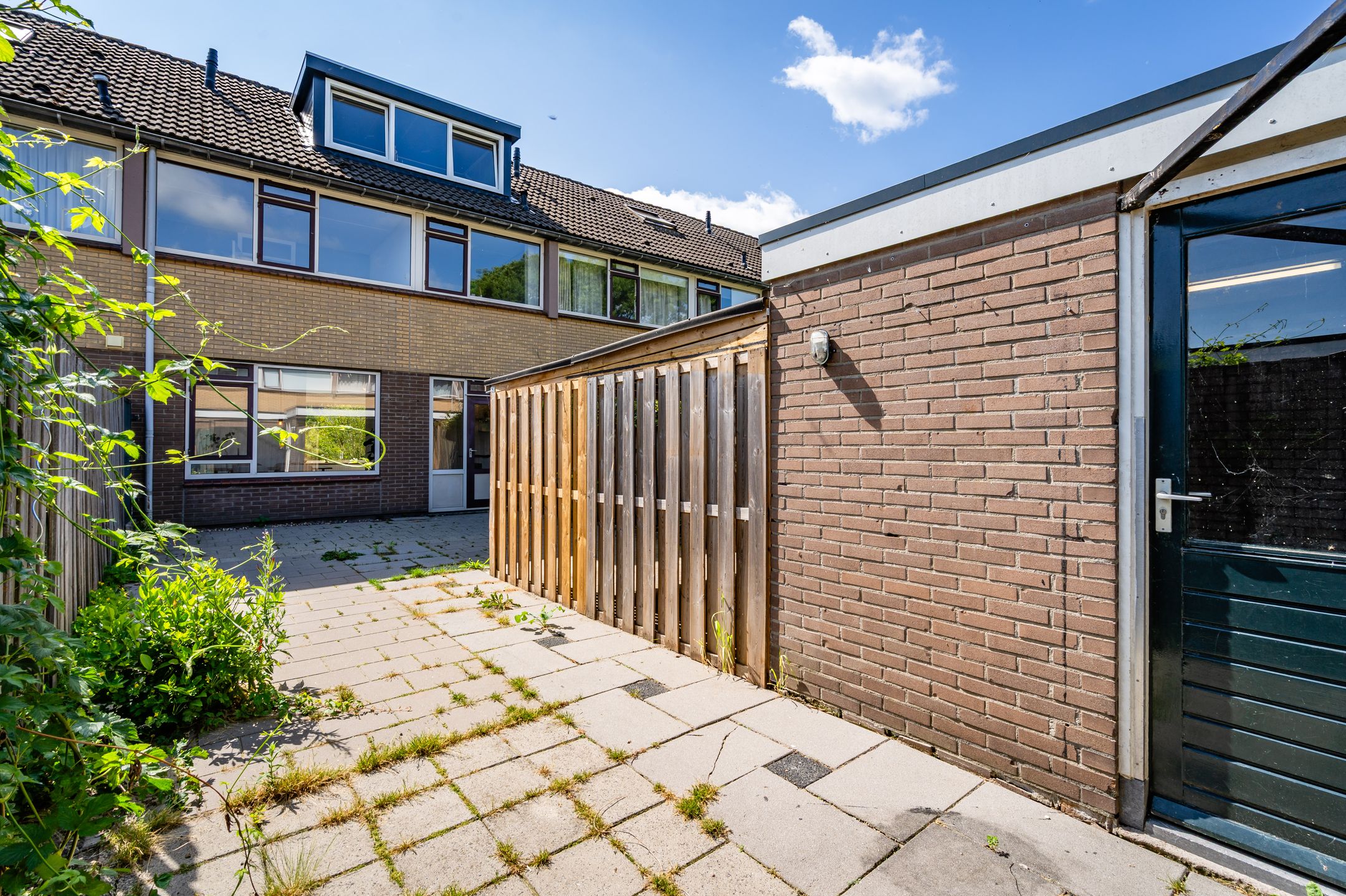 Photo 6 of Wollegras 7