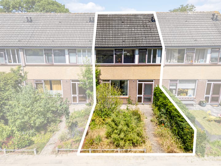 Foto 8 van Wollegras 7