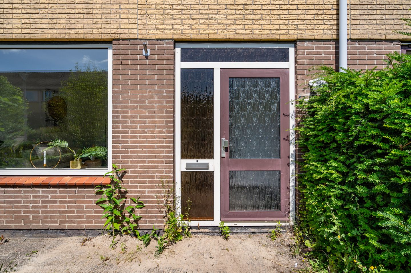 Photo 10 of Wollegras 7